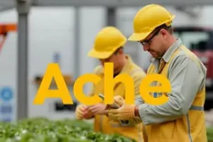 Aché Trabalhe Conosco