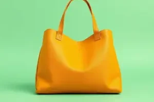 Bolsa Família
