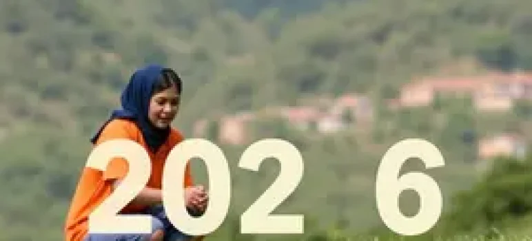 BPC/LOAS 2026