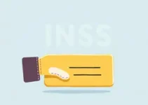 meu INSS