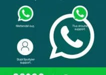 WhatsApp Ministério da Cidadania