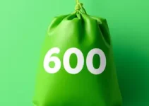Bolsa Verde