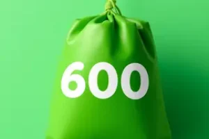 Bolsa Verde