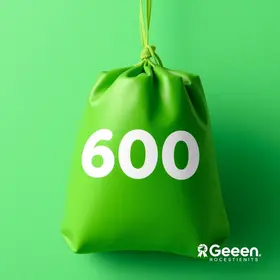 Bolsa Verde