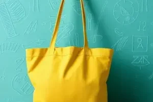 Bolsa Família e Tarifa Social