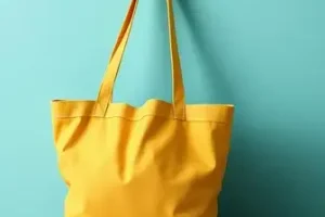 Bolsa Família