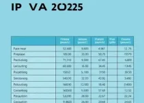 IPVA RS 2025