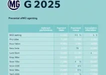 Licenciamento MG 2025