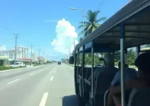 onibus gratis