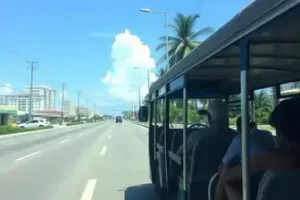 onibus gratis
