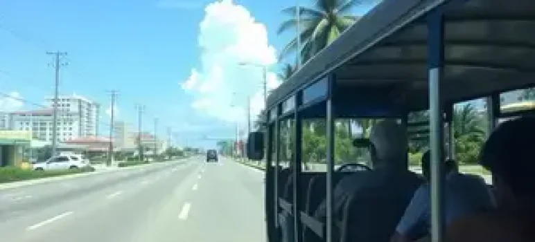 onibus gratis