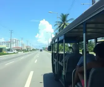 onibus gratis